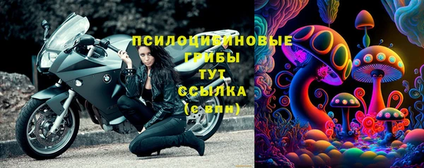 марки lsd Горно-Алтайск