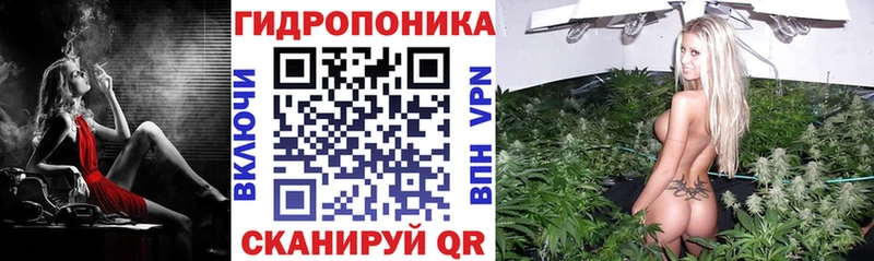 Бошки Шишки план  Купить  Калязин 